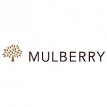 Доставка товаров из Mulberry   за 7 дней - VGExpress